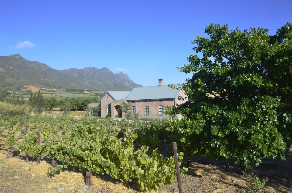 Vineyard Views Country House Riebeek-Kasteel Exterior foto