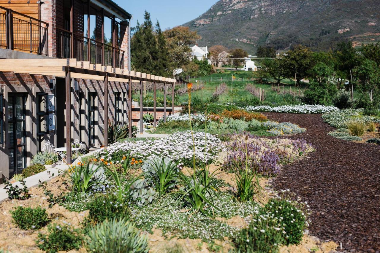 Vineyard Views Country House Riebeek-Kasteel Exterior foto