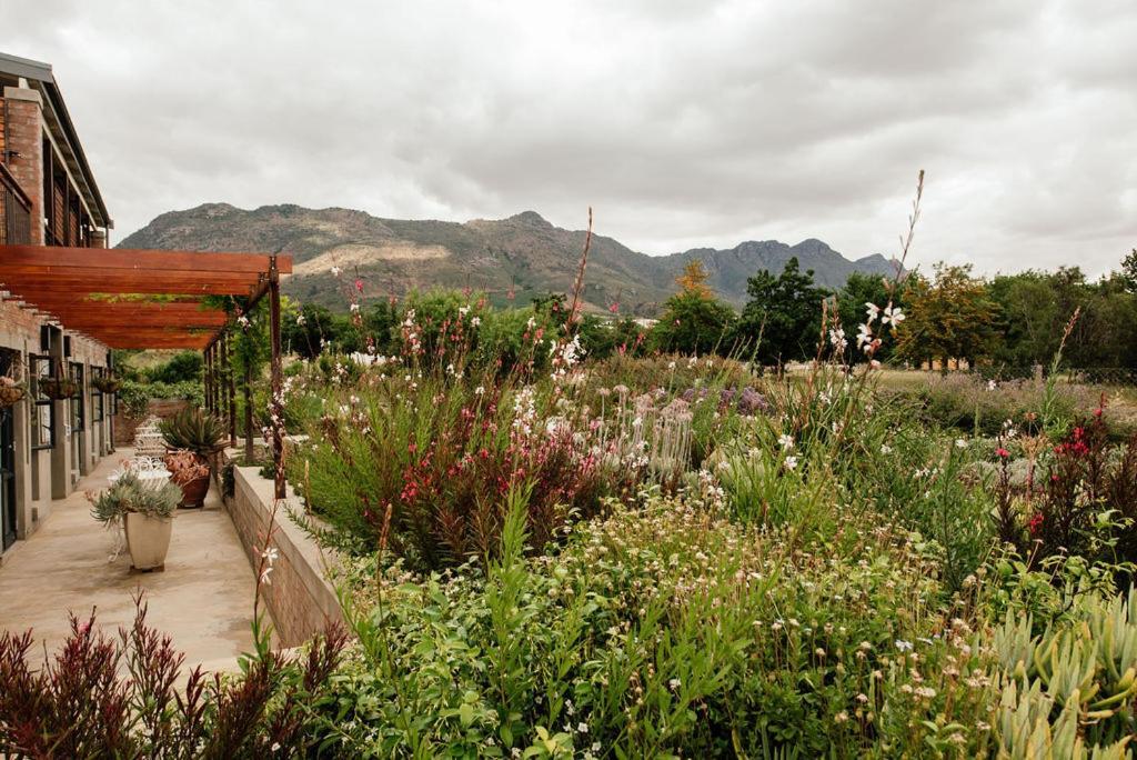 Vineyard Views Country House Riebeek-Kasteel Exterior foto
